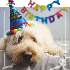 Decoración para cumpleaños